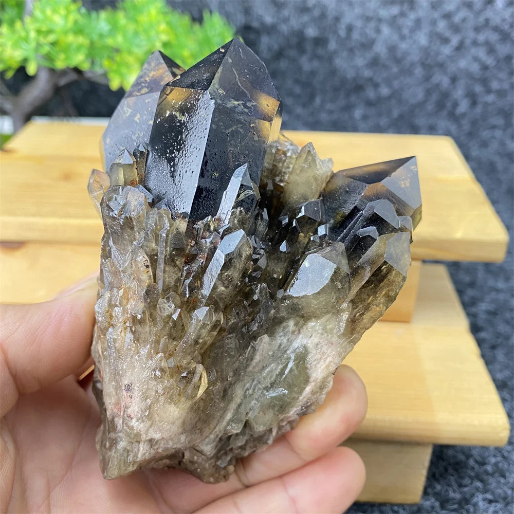 Kervazio™ Natural Black Crystal Ore Specimen – Mineral Stone Home Decor & Spiritual Gift